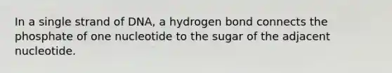 In a single strand of DNA, a hydrogen bond connects the phosphate of one nucleotide to the sugar of the adjacent nucleotide.