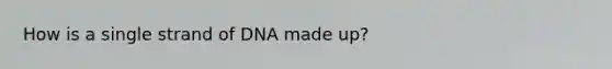 How is a single strand of DNA made up?