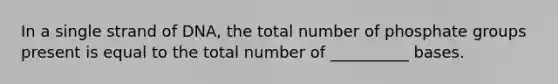 In a single strand of DNA, the total number of phosphate groups present is equal to the total number of __________ bases.