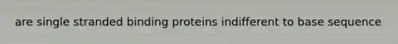 are single stranded binding proteins indifferent to base sequence