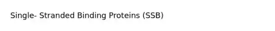 Single- Stranded Binding Proteins (SSB)