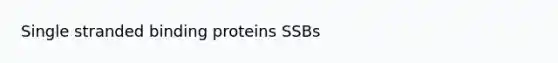 Single stranded binding proteins SSBs