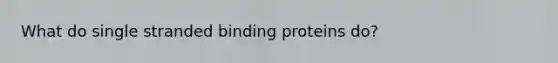 What do single stranded binding proteins do?