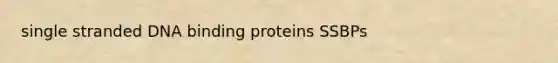 single stranded DNA binding proteins SSBPs