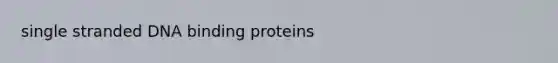 single stranded DNA binding proteins