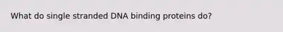 What do single stranded DNA binding proteins do?