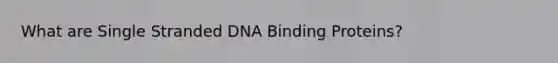 What are Single Stranded DNA Binding Proteins?