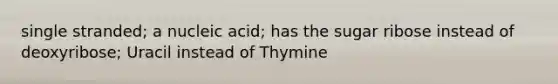 single stranded; a nucleic acid; has the sugar ribose instead of deoxyribose; Uracil instead of Thymine