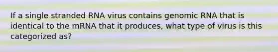 If a single stranded RNA virus contains genomic RNA that is identical to the mRNA that it produces, what type of virus is this categorized as?