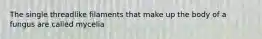 The single threadlike filaments that make up the body of a fungus are called mycelia