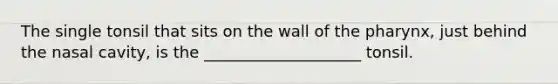 The single tonsil that sits on the wall of the pharynx, just behind the nasal cavity, is the ____________________ tonsil.