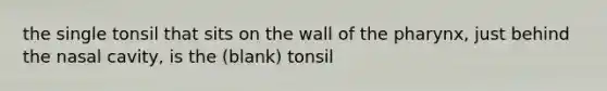 the single tonsil that sits on the wall of the pharynx, just behind the nasal cavity, is the (blank) tonsil