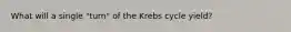 What will a single "turn" of the Krebs cycle yield?