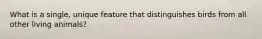 What is a single, unique feature that distinguishes birds from all other living animals?