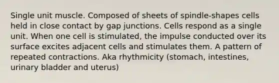 Single unit muscle. Composed of sheets of spindle-shapes cells held in close contact by gap junctions. Cells respond as a single unit. When one cell is stimulated, the impulse conducted over its surface excites adjacent cells and stimulates them. A pattern of repeated contractions. Aka rhythmicity (stomach, intestines, urinary bladder and uterus)