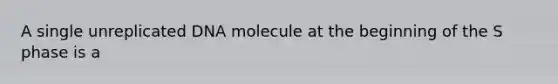 A single unreplicated DNA molecule at the beginning of the S phase is a