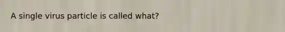 A single virus particle is called what?
