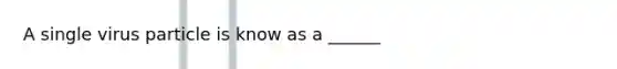 A single virus particle is know as a ______