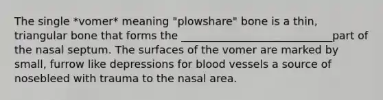 The single *vomer* meaning "plowshare" bone is a thin, triangular bone that forms the ____________________________part of the nasal septum. The surfaces of the vomer are marked by small, furrow like depressions for blood vessels a source of nosebleed with trauma to the nasal area.