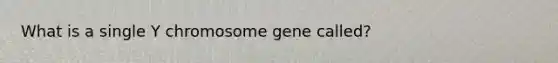 What is a single Y chromosome gene called?