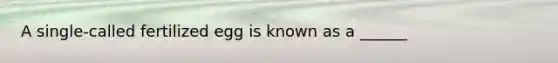 A single-called fertilized egg is known as a ______