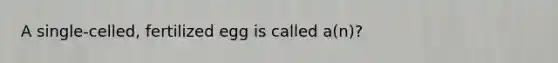 A single-celled, fertilized egg is called a(n)?