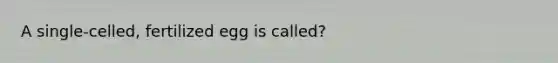 A single-celled, fertilized egg is called?