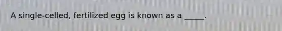 A single-celled, fertilized egg is known as a _____.