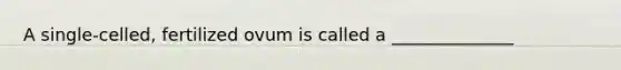 A single-celled, fertilized ovum is called a ______________