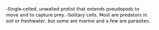 -Single-celled, unwalled protist that extends pseudopods to move and to capture prey. -Solitary cells. Most are predators in soil or freshwater, but some are marine and a few are parasites.