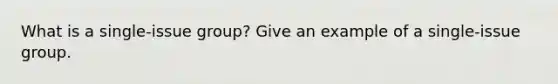 What is a single-issue group? Give an example of a single-issue group.