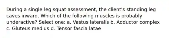 During a single-leg squat assessment, the client's standing leg caves inward. Which of the following muscles is probably underactive? Select one: a. Vastus lateralis b. Adductor complex c. Gluteus medius d. Tensor fascia latae