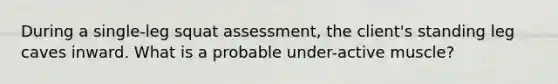 During a single-leg squat assessment, the client's standing leg caves inward. What is a probable under-active muscle?