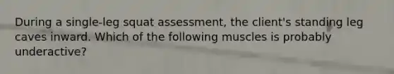 During a single-leg squat assessment, the client's standing leg caves inward. Which of the following muscles is probably underactive?