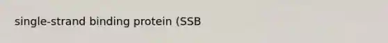 single-strand binding protein (SSB