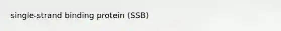 single-strand binding protein (SSB)