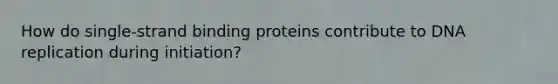 How do single-strand binding proteins contribute to <a href='https://www.questionai.com/knowledge/kofV2VQU2J-dna-replication' class='anchor-knowledge'>dna replication</a> during initiation?