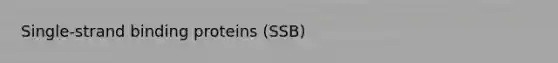 Single-strand binding proteins (SSB)