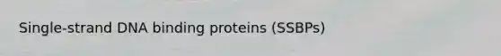 Single-strand DNA binding proteins (SSBPs)