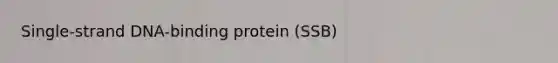 Single-strand DNA-binding protein (SSB)