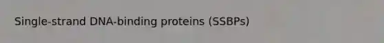 Single-strand DNA-binding proteins (SSBPs)