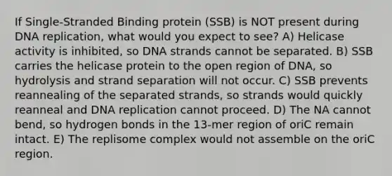 If Single-Stranded Binding protein (SSB) is NOT present during DNA replication, what would you expect to see? A) Helicase activity is inhibited, so DNA strands cannot be separated. B) SSB carries the helicase protein to the open region of DNA, so hydrolysis and strand separation will not occur. C) SSB prevents reannealing of the separated strands, so strands would quickly reanneal and DNA replication cannot proceed. D) The NA cannot bend, so hydrogen bonds in the 13-mer region of oriC remain intact. E) The replisome complex would not assemble on the oriC region.