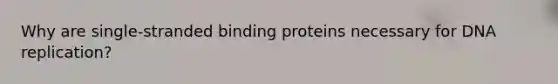 Why are single-stranded binding proteins necessary for <a href='https://www.questionai.com/knowledge/kofV2VQU2J-dna-replication' class='anchor-knowledge'>dna replication</a>?