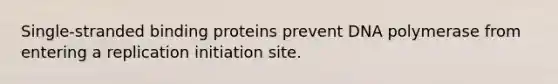 Single-stranded binding proteins prevent DNA polymerase from entering a replication initiation site.