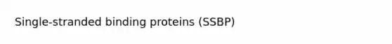 Single-stranded binding proteins (SSBP)