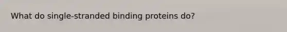 What do single-stranded binding proteins do?