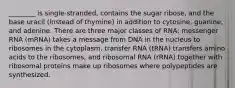 ________ is single-stranded, contains the sugar ribose, and the base uracil (instead of thymine) in addition to cytosine, guanine, and adenine. There are three major classes of RNA: messenger RNA (mRNA) takes a message from DNA in the nucleus to ribosomes in the cytoplasm, transfer RNA (tRNA) transfers amino acids to the ribosomes, and ribosomal RNA (rRNA) together with ribosomal proteins make up ribosomes where polypeptides are synthesized.