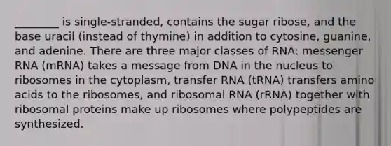 ________ is single-stranded, contains the sugar ribose, and the base uracil (instead of thymine) in addition to cytosine, guanine, and adenine. There are three major classes of RNA: messenger RNA (mRNA) takes a message from DNA in the nucleus to ribosomes in the cytoplasm, transfer RNA (tRNA) transfers amino acids to the ribosomes, and ribosomal RNA (rRNA) together with ribosomal proteins make up ribosomes where polypeptides are synthesized.