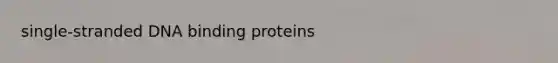 single-stranded DNA binding proteins