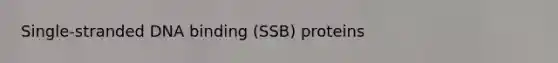 Single-stranded DNA binding (SSB) proteins